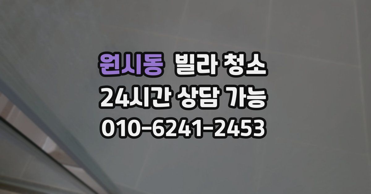 원시동 빌라 청소