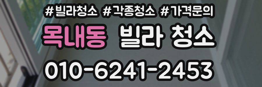 목내동 빌라 청소