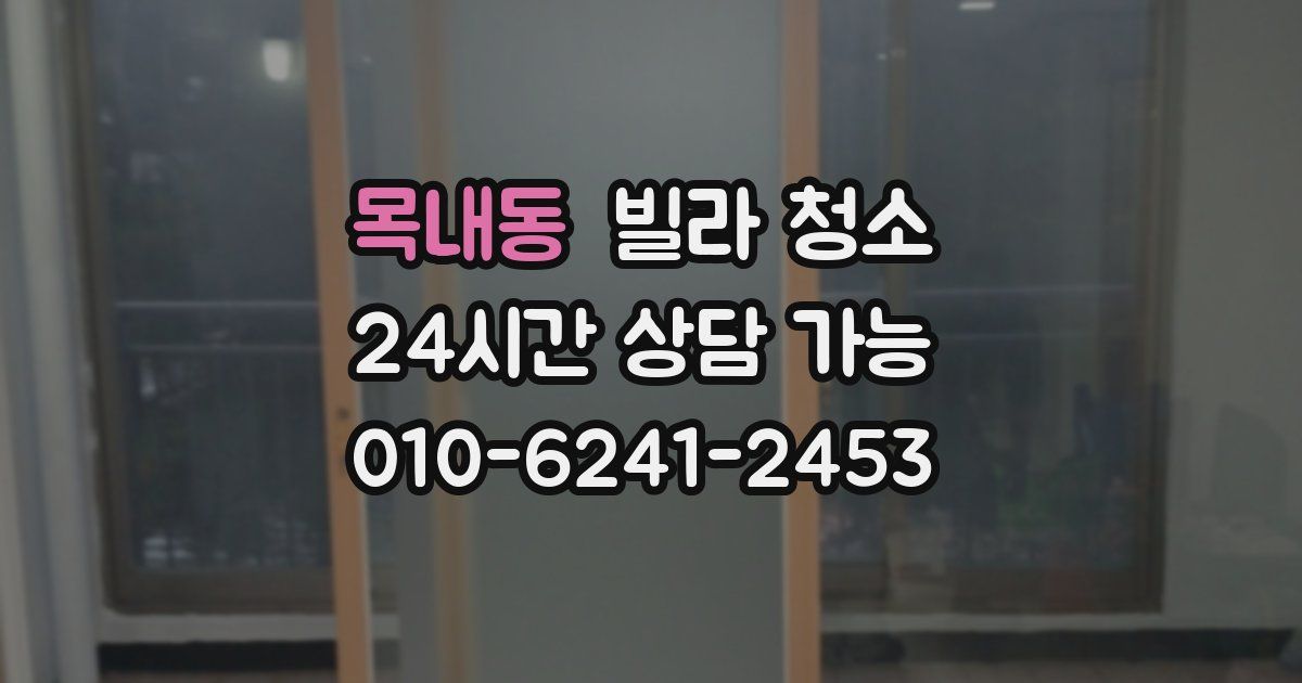 목내동 빌라 청소