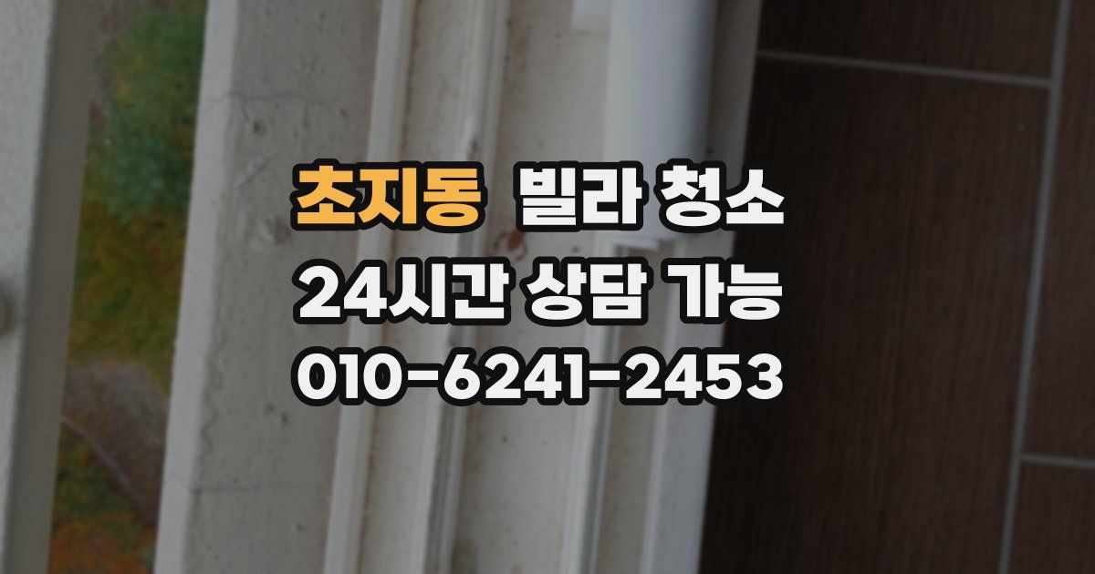 초지동 빌라 청소