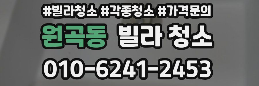 원곡동 빌라 청소