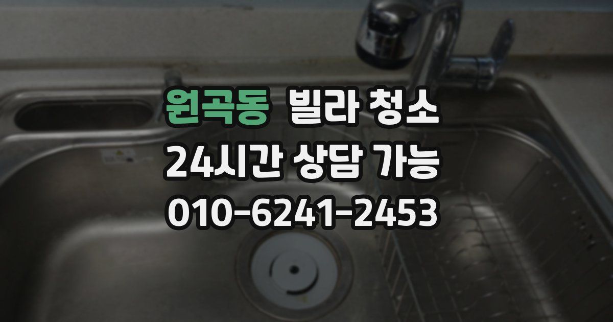 원곡동 빌라 청소