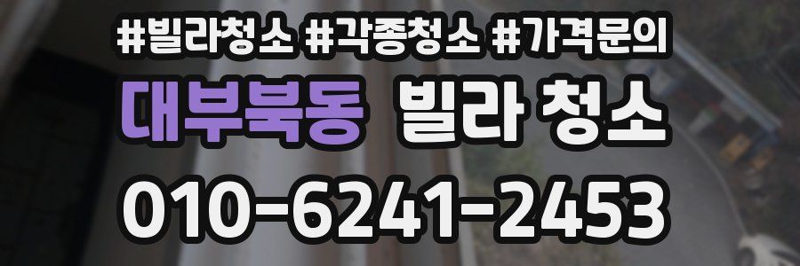 대부북동 빌라 청소