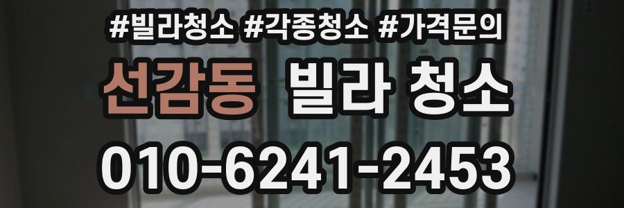 선감동 빌라 청소