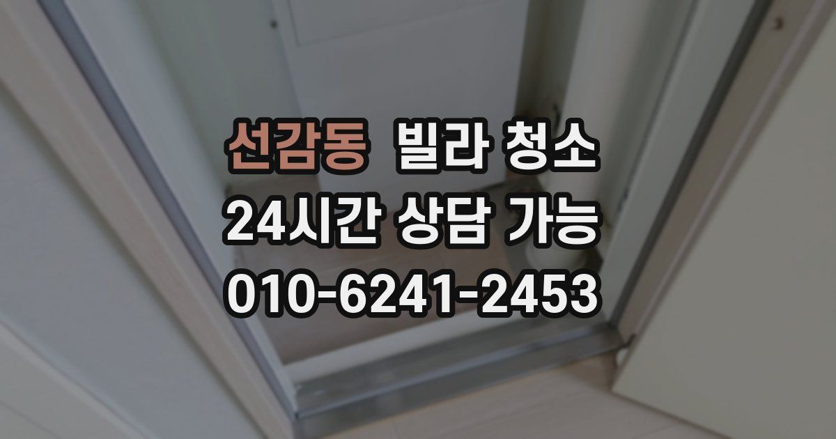 선감동 빌라 청소