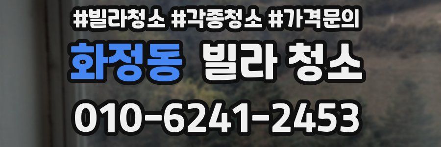 화정동 빌라 청소