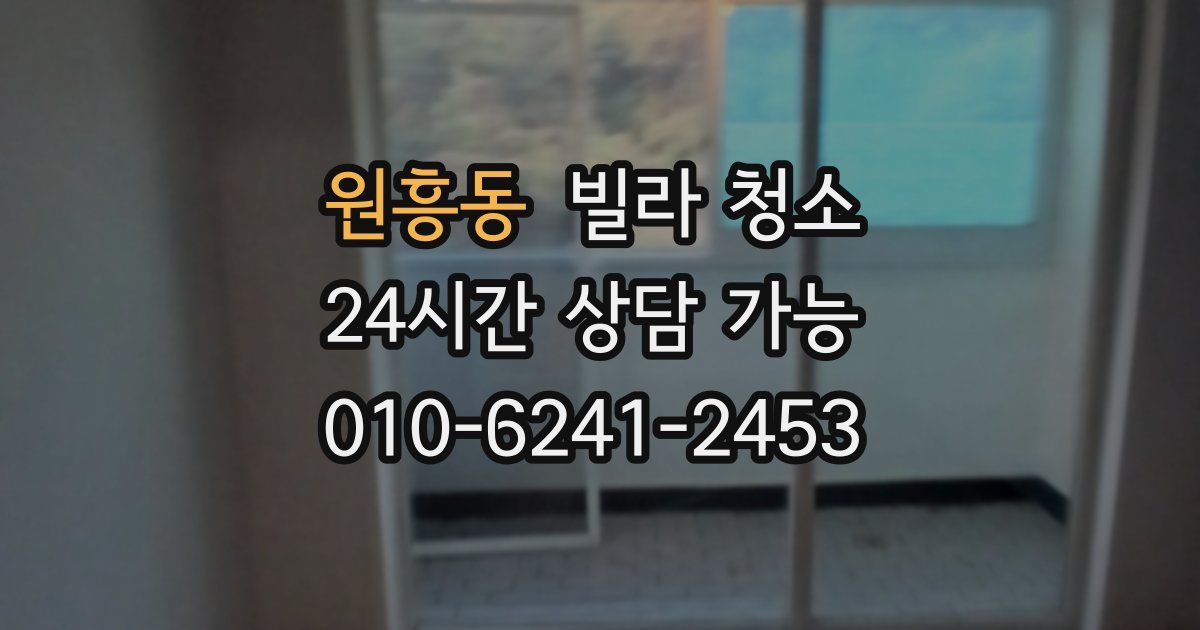 원흥동 빌라 청소