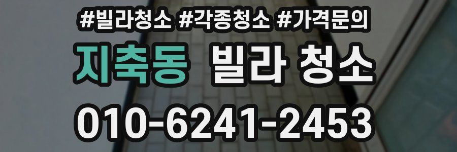 지축동 빌라 청소