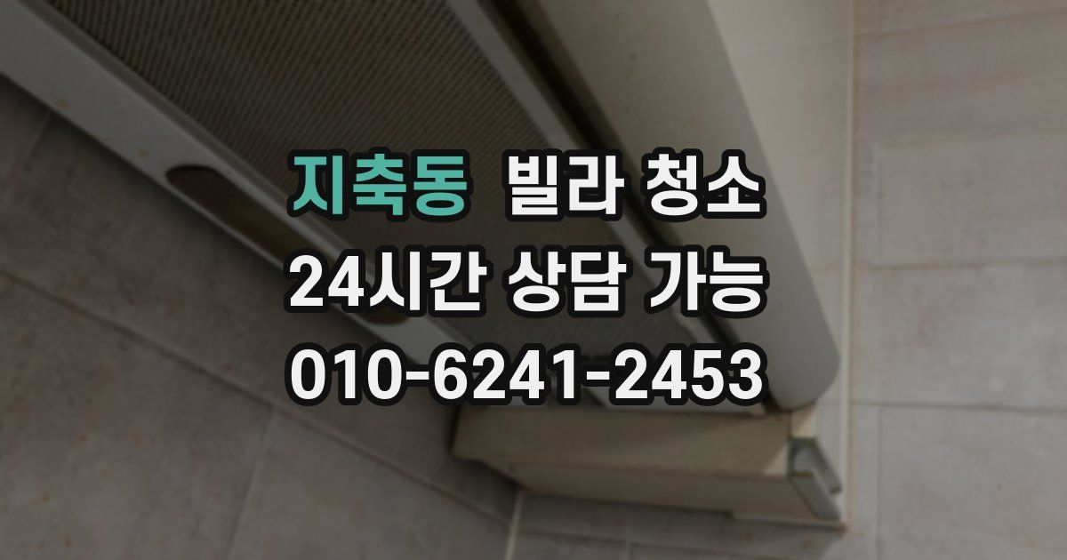 지축동 빌라 청소