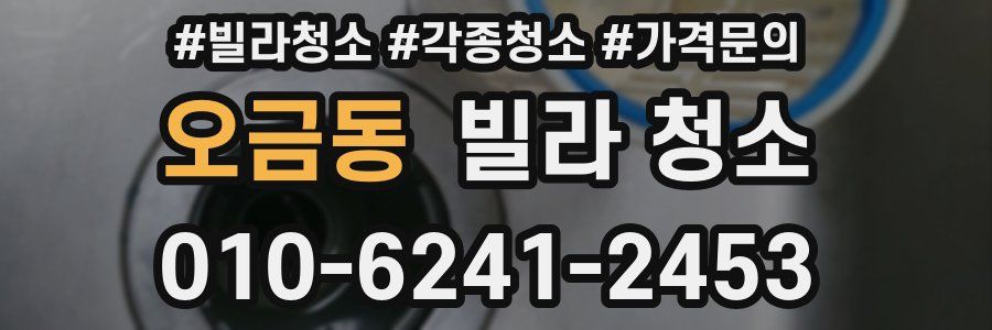 오금동 빌라 청소