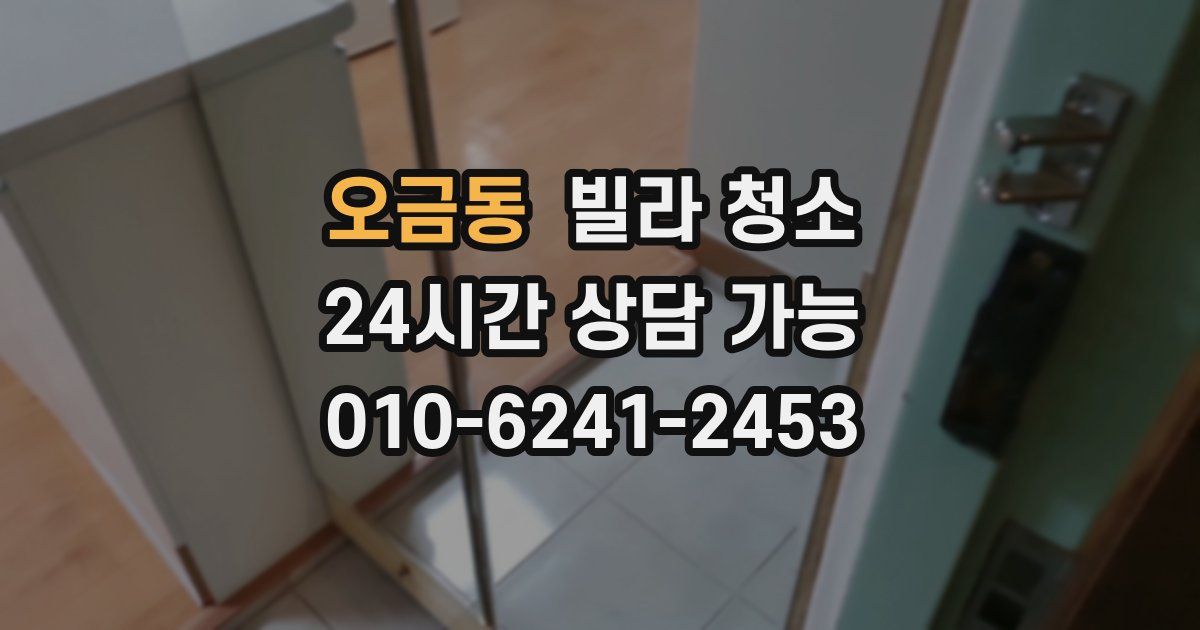 오금동 빌라 청소