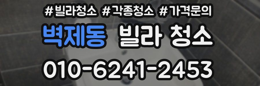 벽제동 빌라 청소