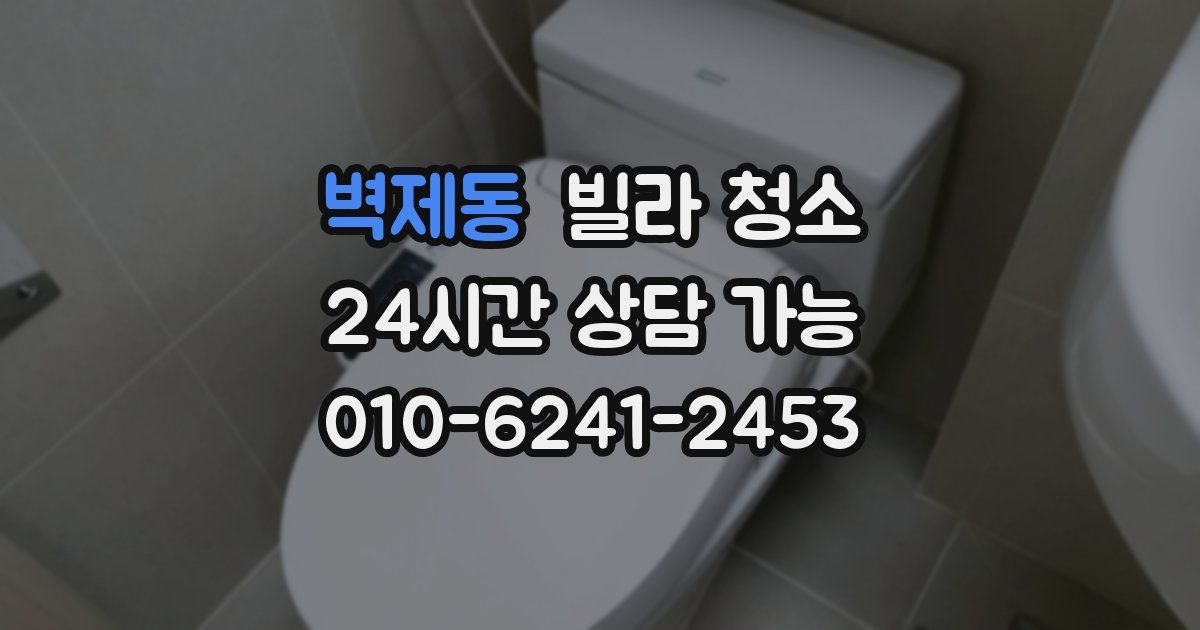 벽제동 빌라 청소