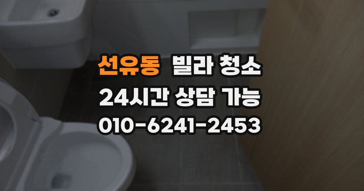 선유동 빌라 청소