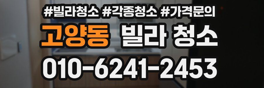 고양동 빌라 청소