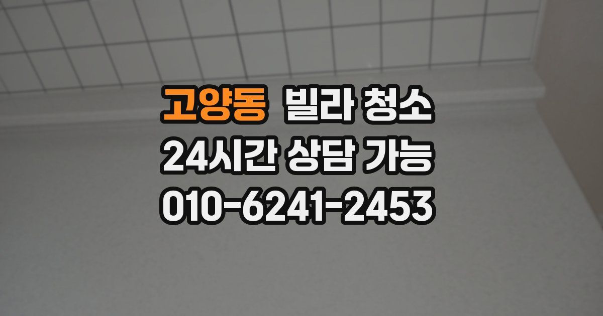 고양동 빌라 청소