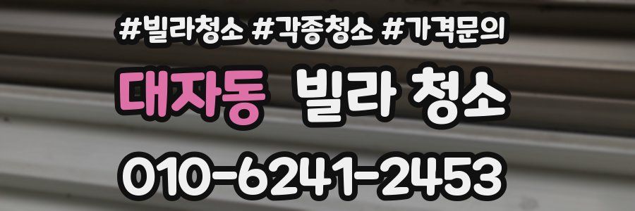 대자동 빌라 청소