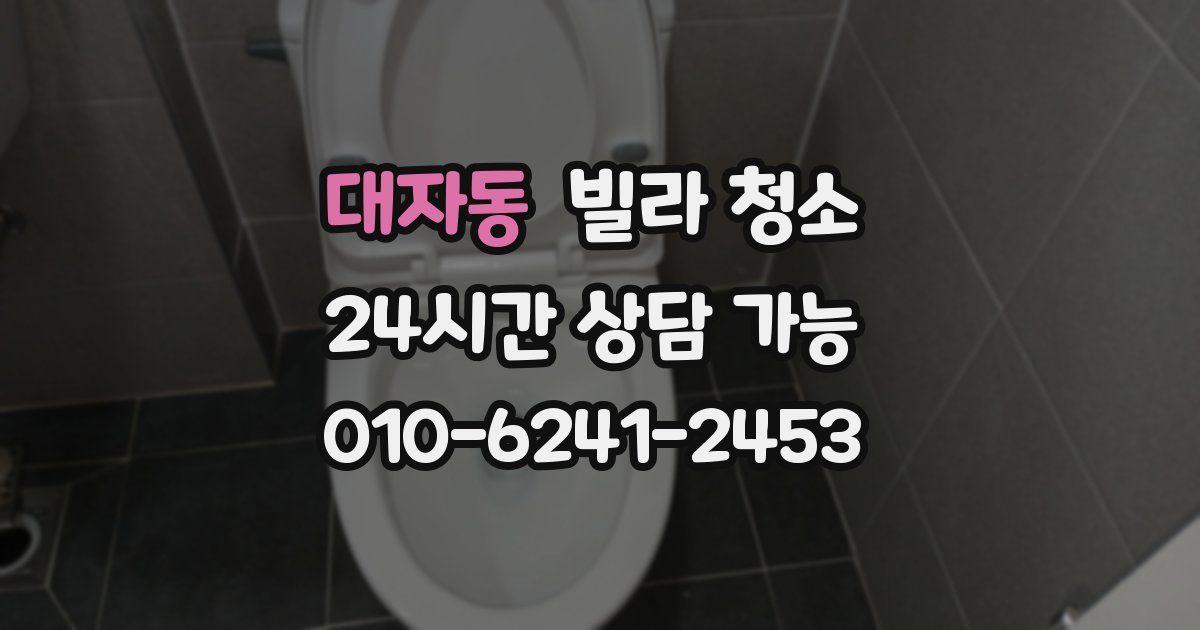 대자동 빌라 청소