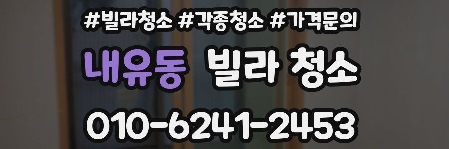 내유동 빌라 청소