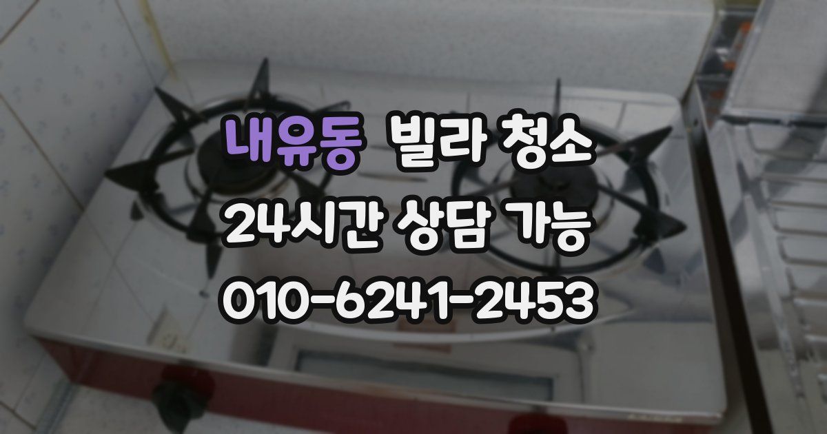 내유동 빌라 청소