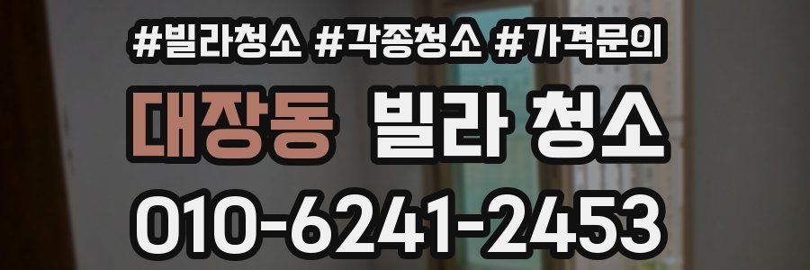 대장동 빌라 청소