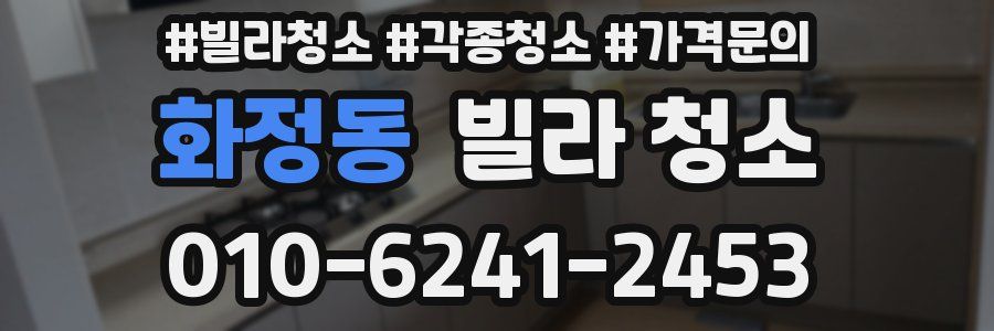 화정동 빌라 청소