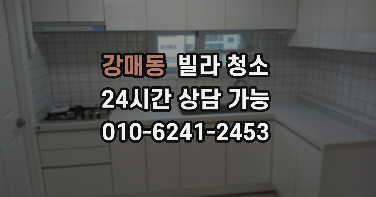 강매동 빌라 청소