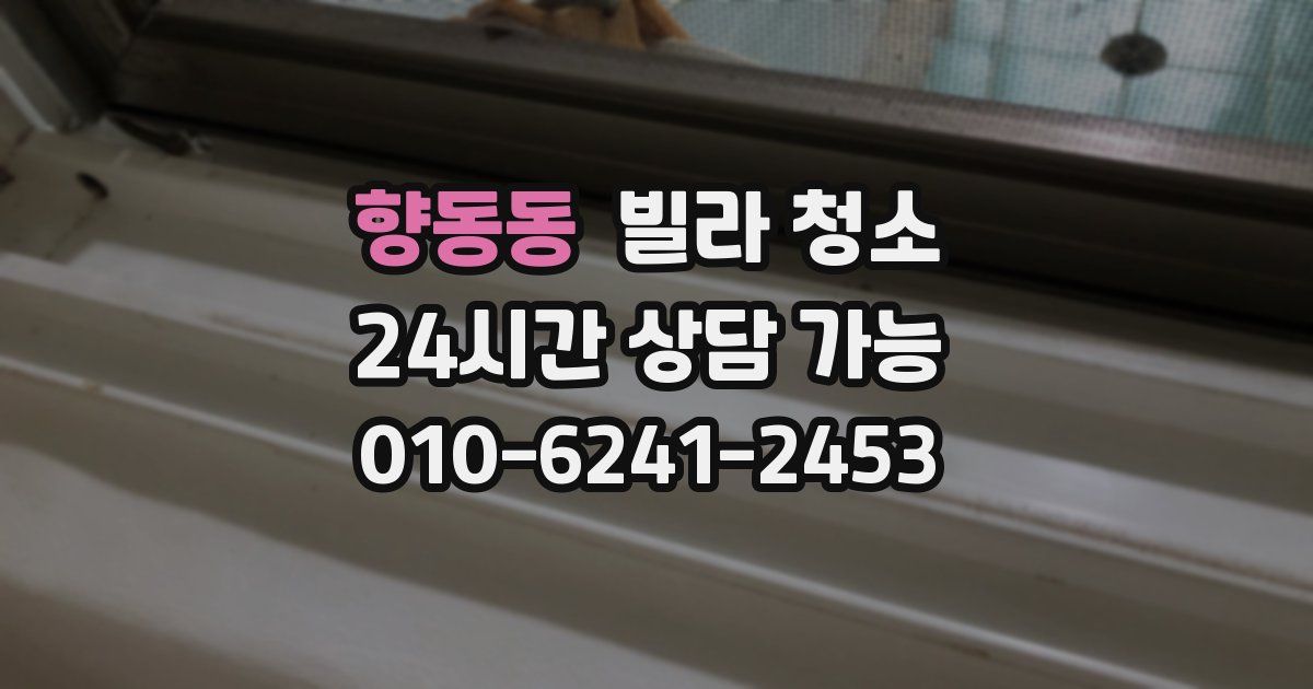 향동동 빌라 청소