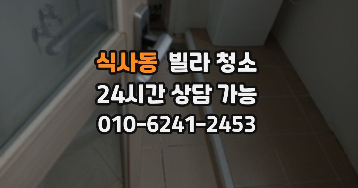 식사동 빌라 청소