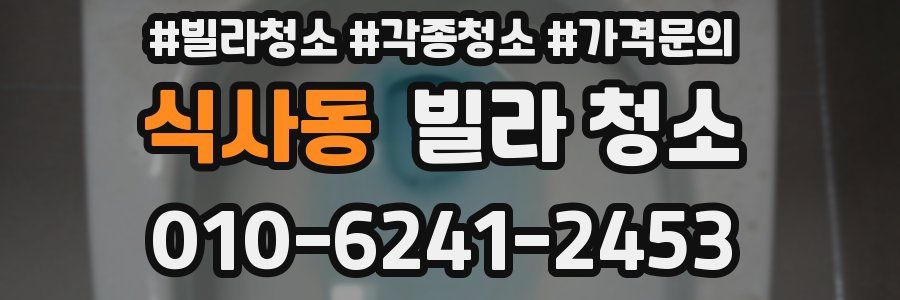 식사동 빌라 청소