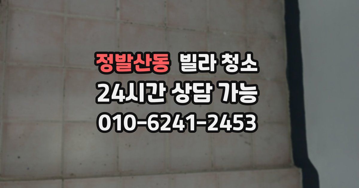 정발산동 빌라 청소