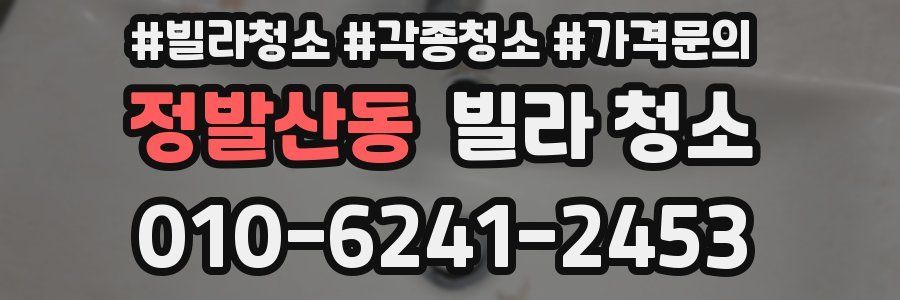 정발산동 빌라 청소