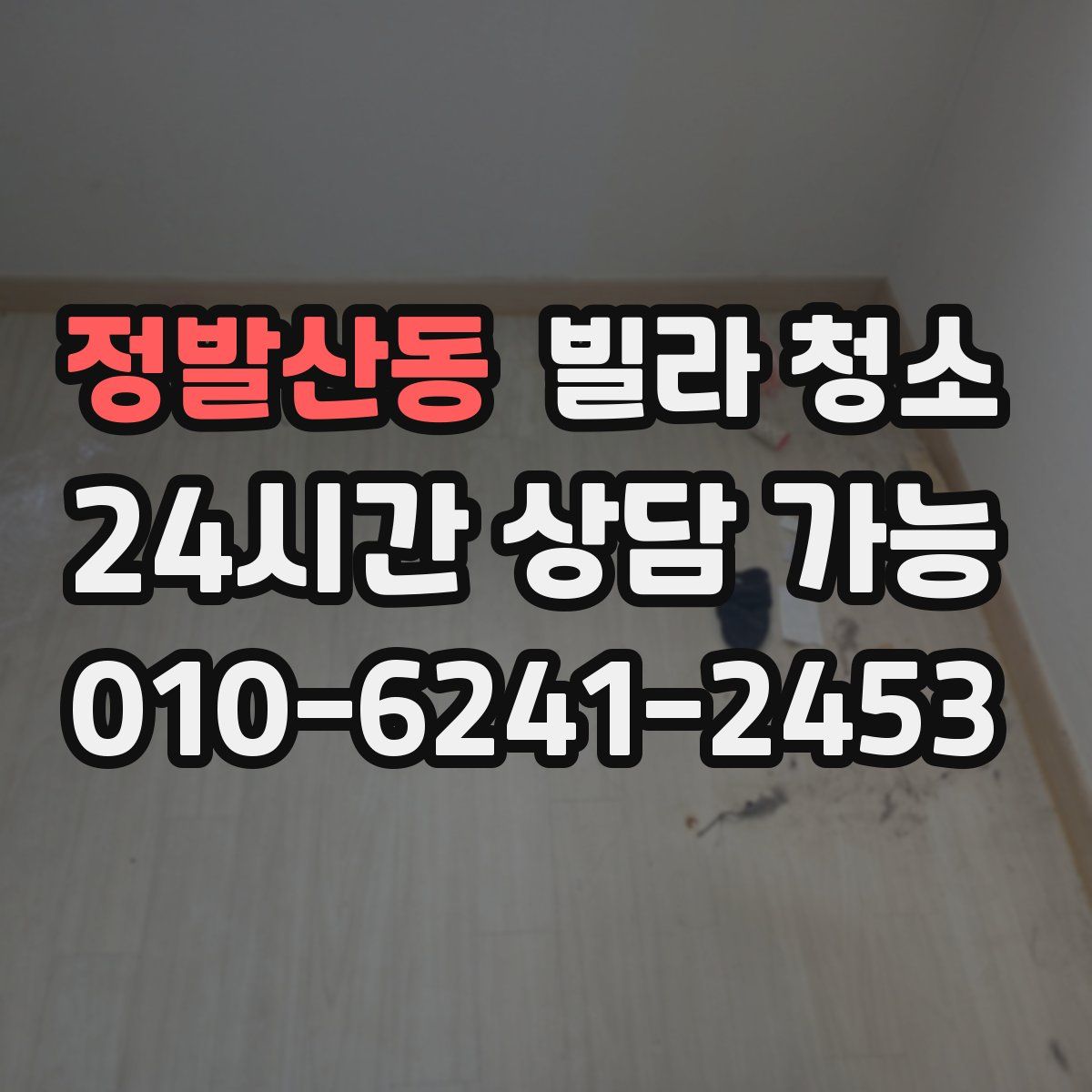 정발산동 빌라 청소