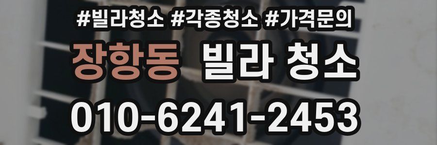 장항동 빌라 청소