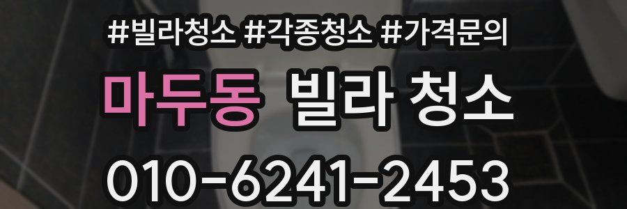 마두동 빌라 청소