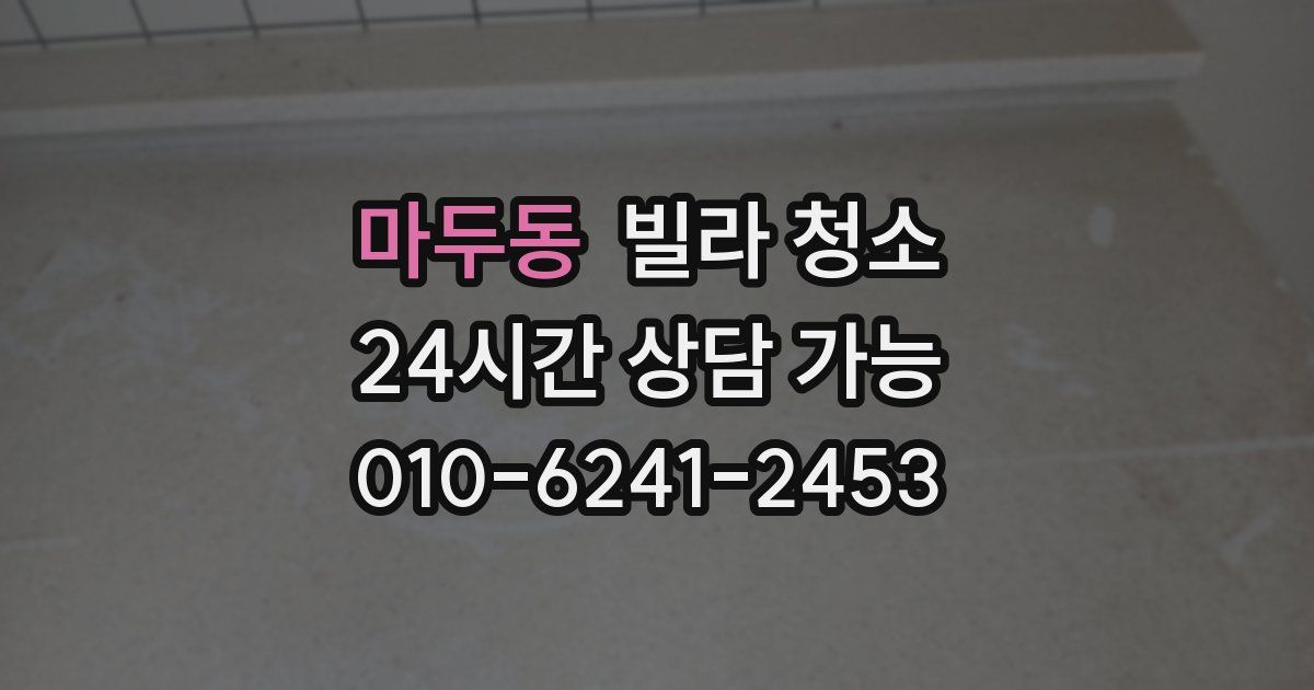 마두동 빌라 청소