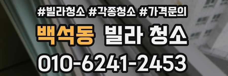 백석동 빌라 청소
