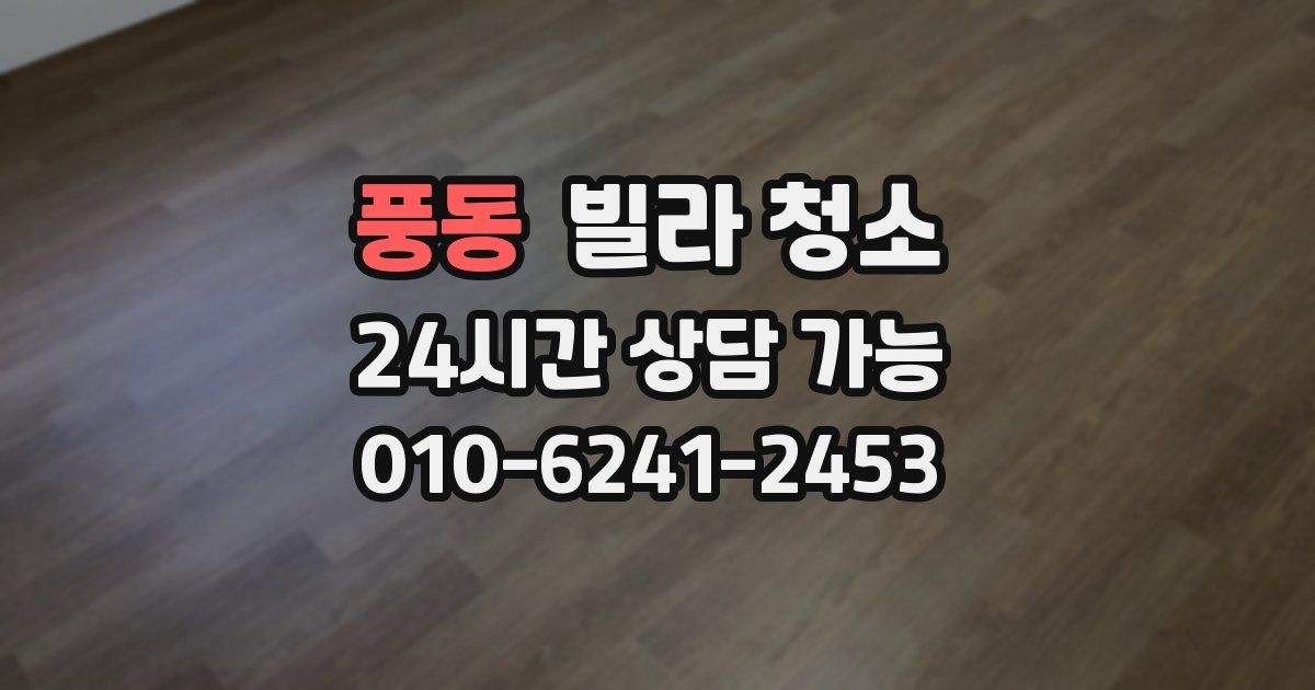 풍동 빌라 청소