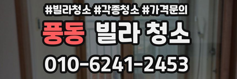 풍동 빌라 청소