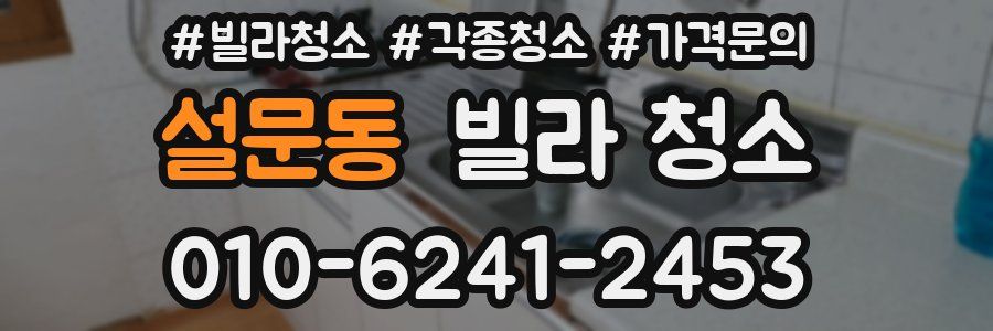 설문동 빌라 청소