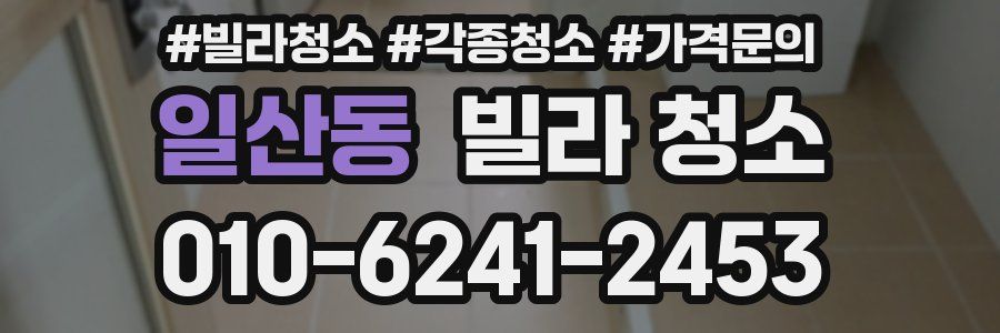 일산동 빌라 청소