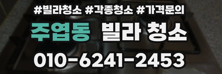 주엽동 빌라 청소