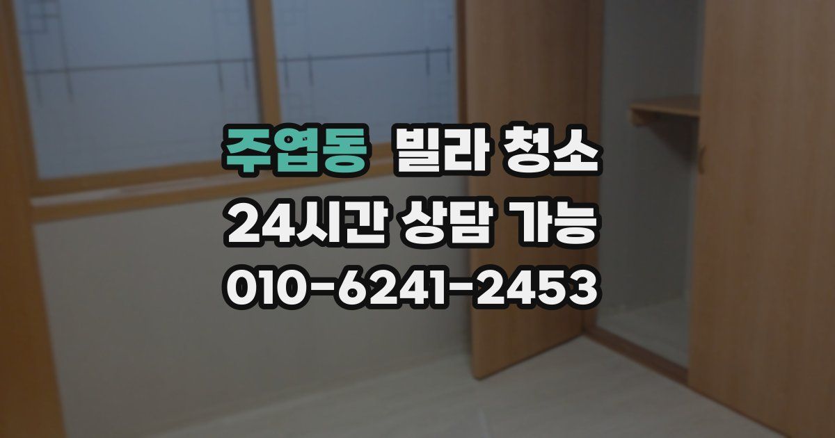 주엽동 빌라 청소