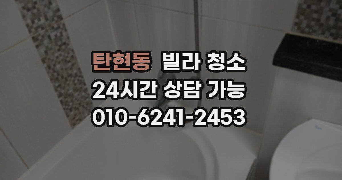 탄현동 빌라 청소