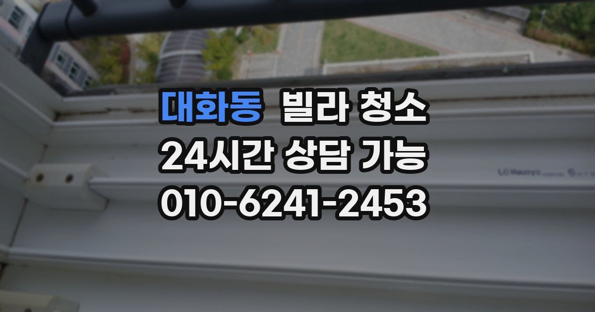 대화동 빌라 청소