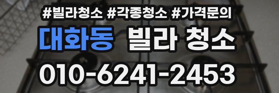 대화동 빌라 청소