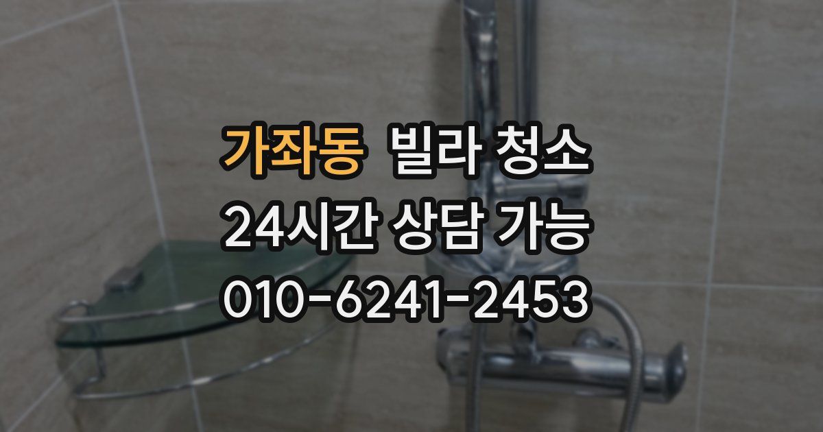 가좌동 빌라 청소