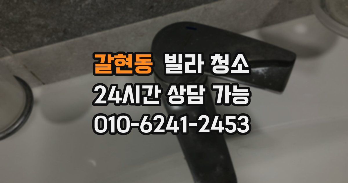 갈현동 빌라 청소