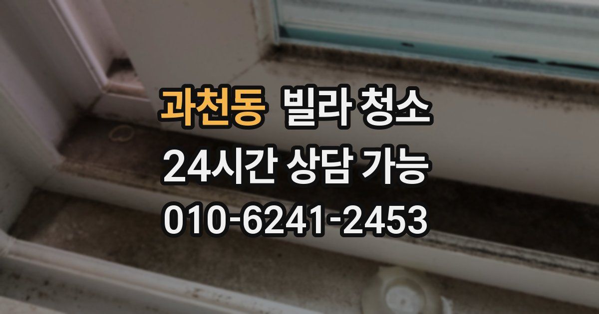 과천동 빌라 청소