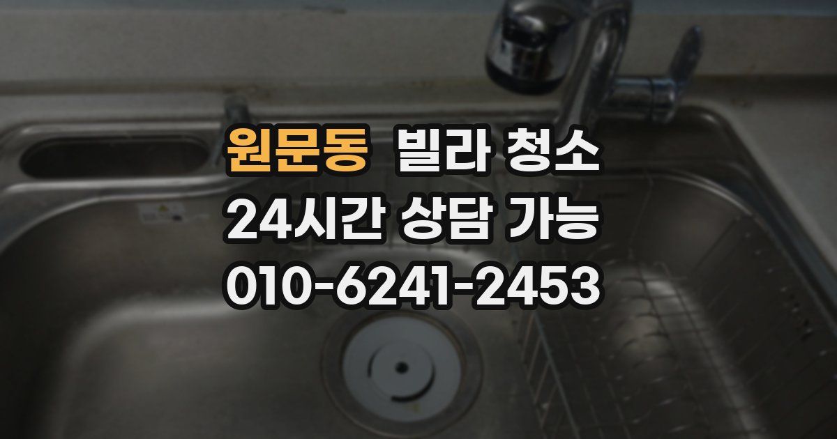 원문동 빌라 청소